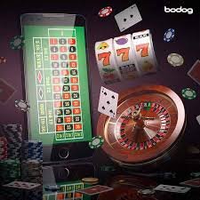 Jitabet গোপনীয়তা ও তথ্য সুরক্ষা ব্যবস্থা